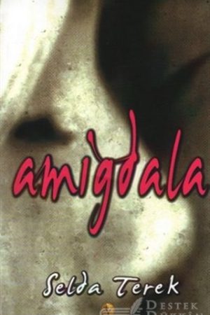 Amigdala